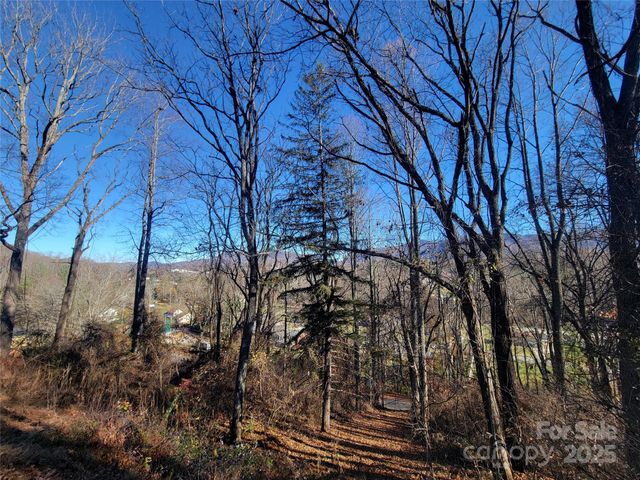 0 Blink Bonny Drive B9, Waynesville, NC 28786