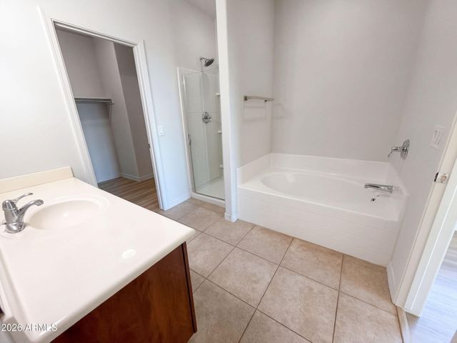 7025 S 251ST Drive, Buckeye, AZ 85326