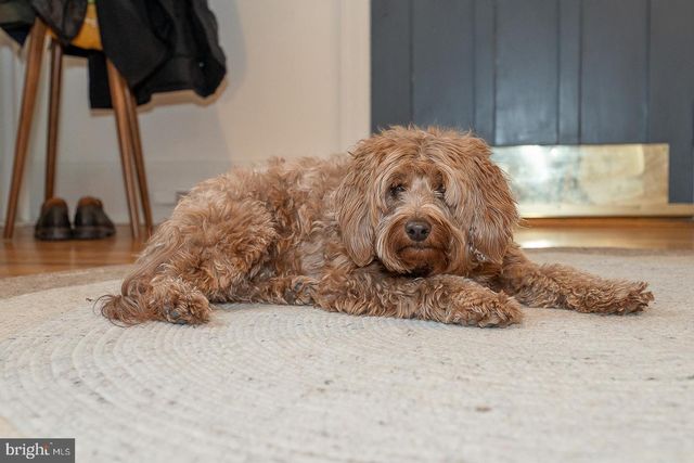 214 KENT RD, Ardmore, PA 19003