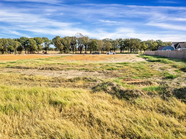 2202 Rattler Way, Tolar, TX 76476