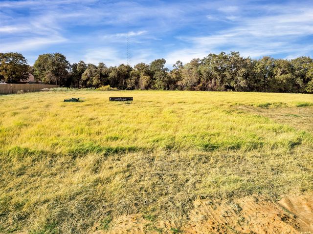 2202 Rattler Way, Tolar, TX 76476