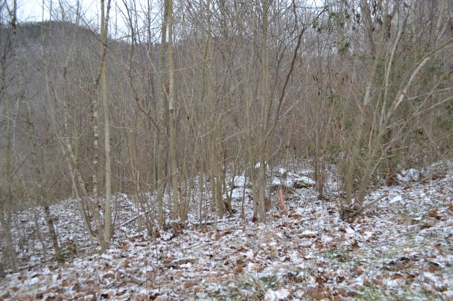 0 Apache Rd, Jamestown, TN 38556