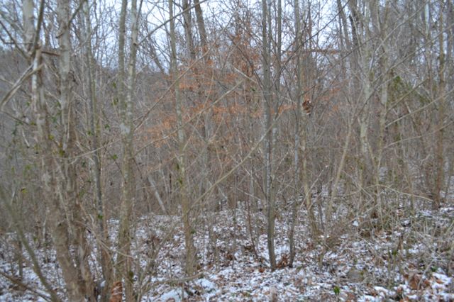 0 Apache Rd, Jamestown, TN 38556