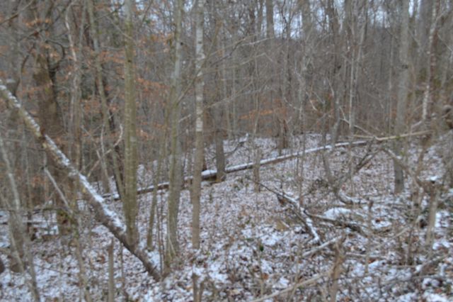 0 Apache Rd, Jamestown, TN 38556