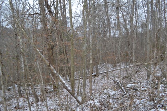 0 Apache Rd, Jamestown, TN 38556