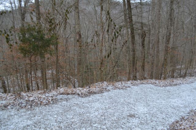 0 Apache Rd, Jamestown, TN 38556