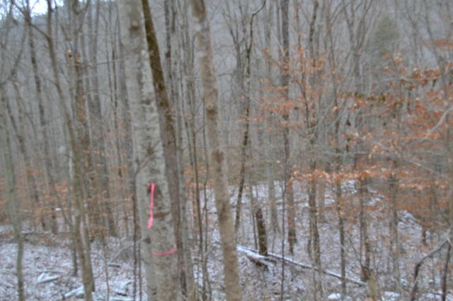 0 Apache Rd, Jamestown, TN 38556