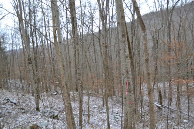 0 Apache Rd, Jamestown, TN 38556