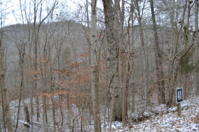 0 Apache Rd, Jamestown, TN 38556