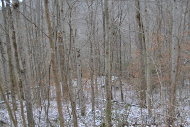 0 Apache Rd, Jamestown, TN 38556