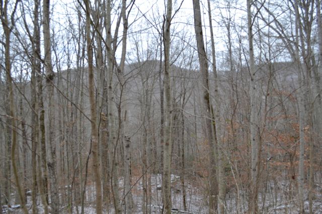 0 Apache Rd, Jamestown, TN 38556