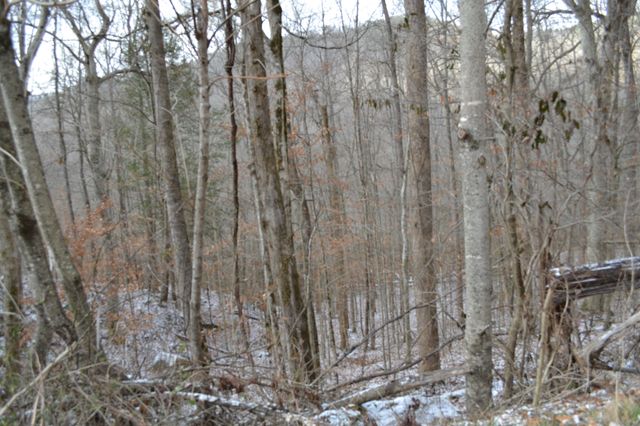 0 Apache Rd, Jamestown, TN 38556