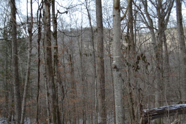 0 Apache Rd, Jamestown, TN 38556