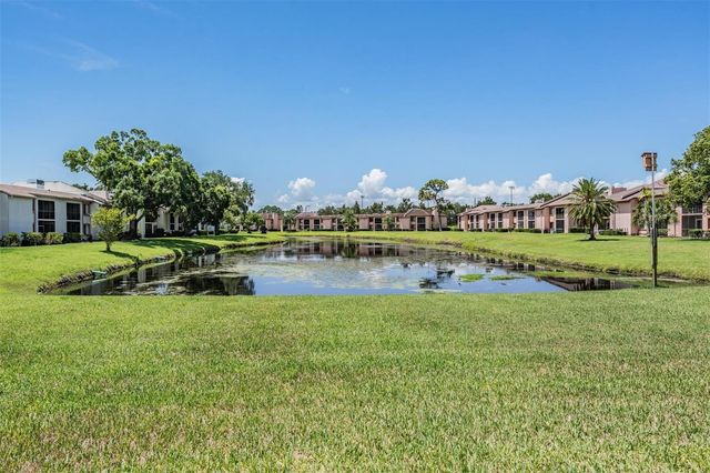 107 LAKEVIEW PLACE 7, Oldsmar, FL 34677