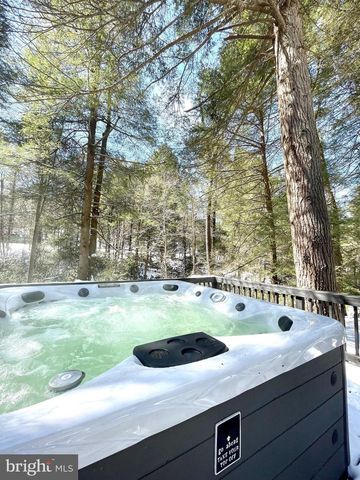 285 LAKE SHORE DR, Oakland, MD 21550