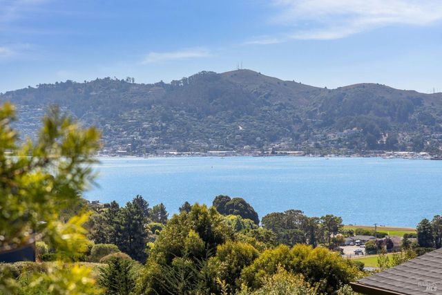 25 Mark Ter, Tiburon, CA 94920