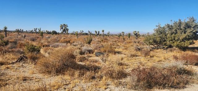 0 12 Silver Rock Road, Pinon Hills, CA 92372