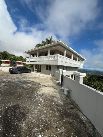 Borinquen Caguas PR 763, Caguas, PR 00725