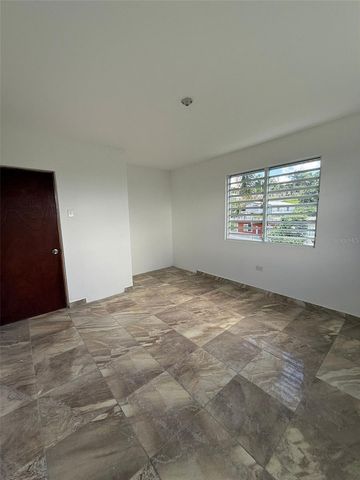 Borinquen Caguas PR 763, Caguas, PR 00725