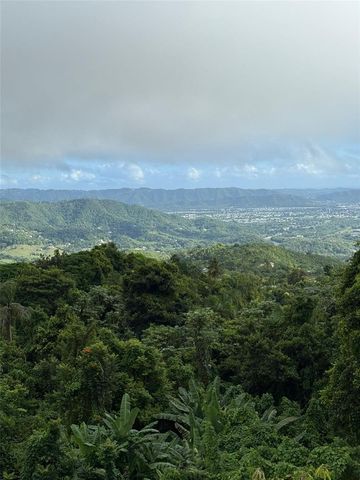 Borinquen Caguas PR 763, Caguas, PR 00725