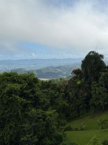 Borinquen Caguas PR 763, Caguas, PR 00725