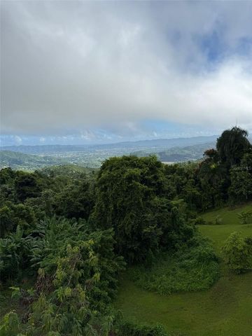 Borinquen Caguas PR 763, Caguas, PR 00725