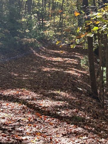Lot 1 &2 Royal Oaks, Brasstown, NC 28902