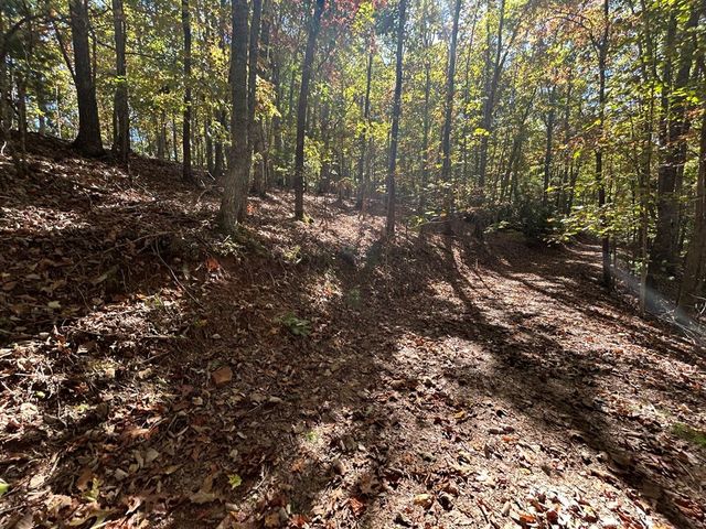 Lot 1 &2 Royal Oaks, Brasstown, NC 28902