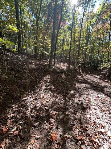Lot 1 &2 Royal Oaks, Brasstown, NC 28902