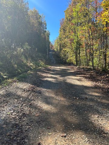 Lot 1 &2 Royal Oaks, Brasstown, NC 28902
