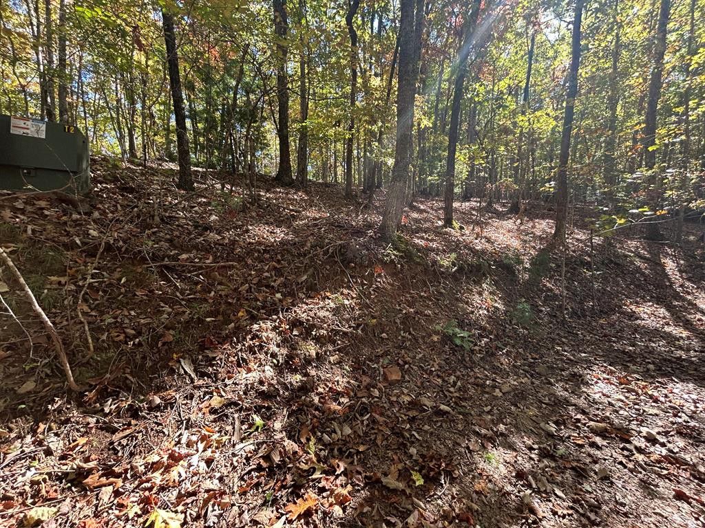 Lot 1 &2 Royal Oaks, Brasstown, NC 28902