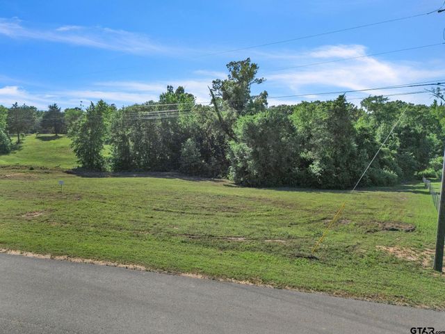 16808 Ridgeline Loop, Winona, TX 75792