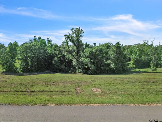 16808 Ridgeline Loop, Winona, TX 75792