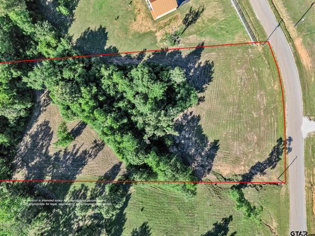 16808 Ridgeline Loop, Winona, TX 75792