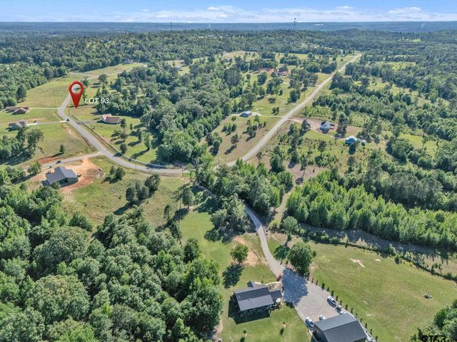 16808 Ridgeline Loop, Winona, TX 75792