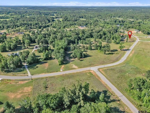 16808 Ridgeline Loop, Winona, TX 75792