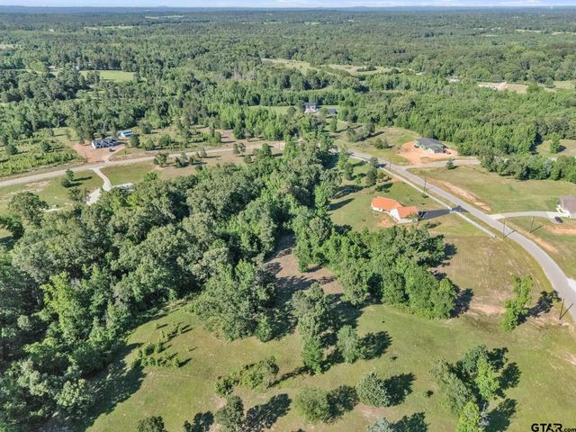 16808 Ridgeline Loop, Winona, TX 75792