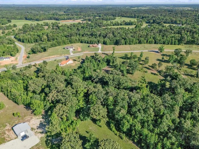 16808 Ridgeline Loop, Winona, TX 75792