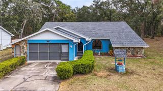5250 LITTLE GREEN LANE, Dade City, FL 33523