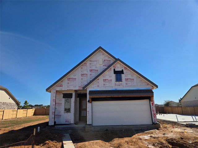 19031 Magnolia Willow Lane, Magnolia, TX 77355