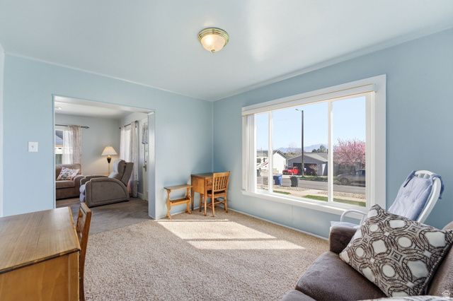 10306 S APEX RD, Copperton, UT 84006