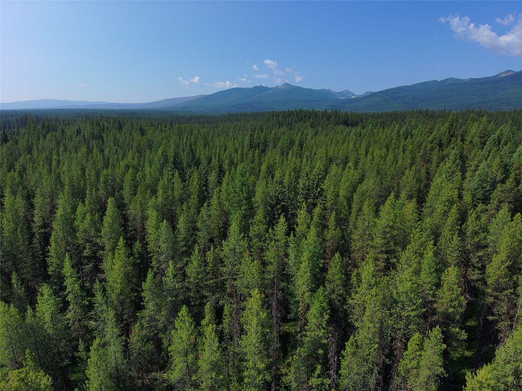 TBD PROVIDENCE LANE, CONDON, MT 59826, CONDON, MT Clearwater Properties