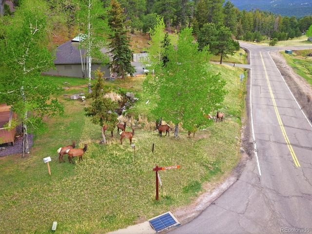 25070 Montane Drive, Golden, CO 80401
