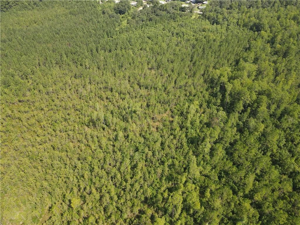 0 Mcbride Circle S, Axis, AL 36505 — photo 3