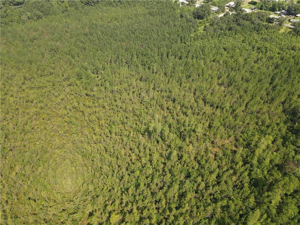 0 Mcbride Circle S, Axis, AL 36505 — photo 4