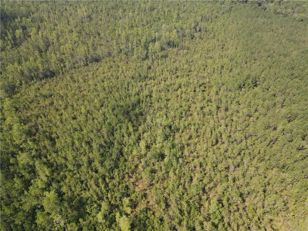 0 Mcbride Circle S, Axis, AL 36505 — photo 5