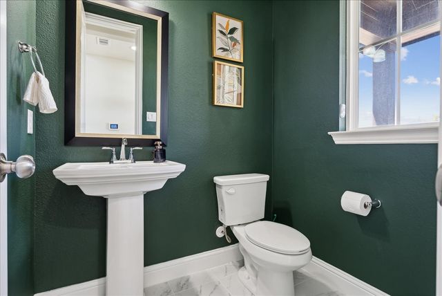 15513 Fringe Tree Road, Frisco, TX 75035