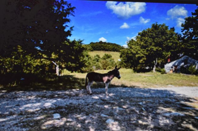 1277 Coosie Branch Rd, Lewisburg, TN 37091