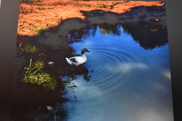 1277 Coosie Branch Rd, Lewisburg, TN 37091