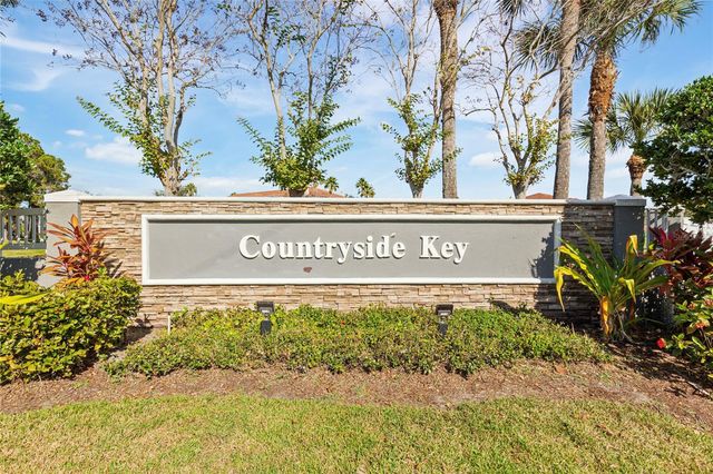 291 COUNTRYSIDE KEY BOULEVARD, Oldsmar, FL 34677